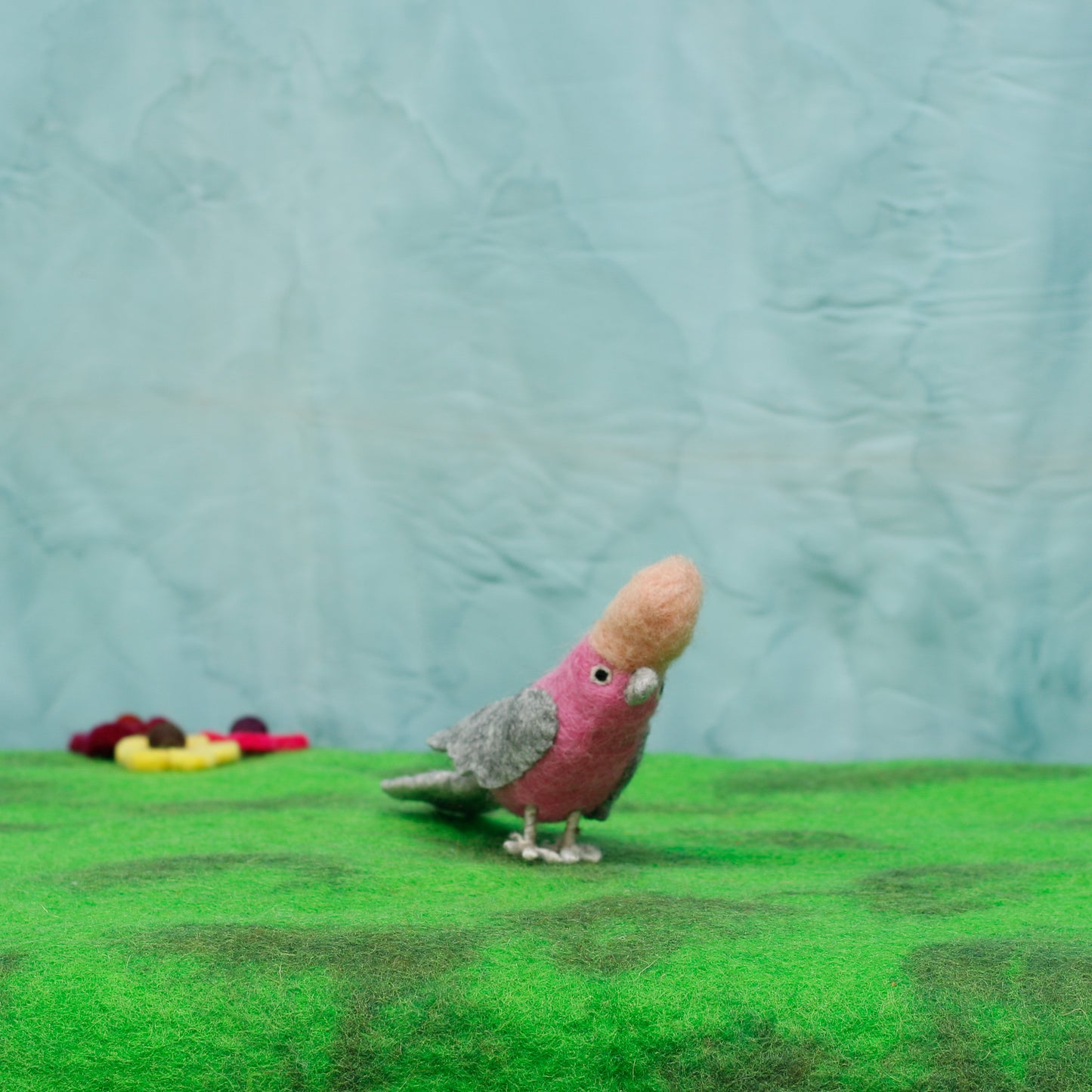 Felt Galah