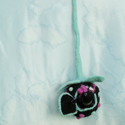 Felt Dragon Pod with Dragon